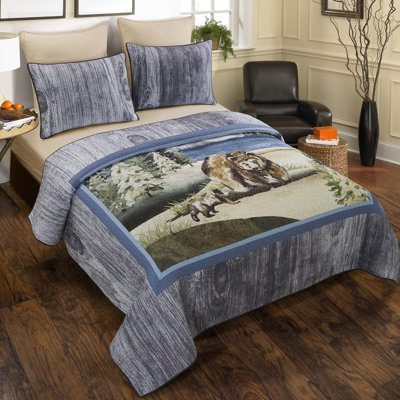 Donna Sharp Montana Morning 3PC Cotton Quilt Set