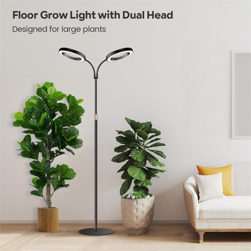 Naomi Grow Light