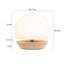 Mijan Solid Wood Novelty Lamp