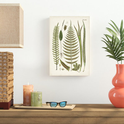 " Fanciful Ferns V " Painting Print