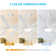 Osaze Ceiling Fan with LED Lights