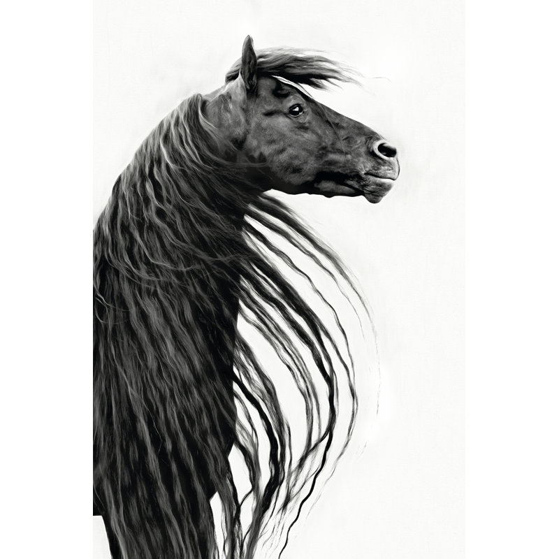 Black And White Horse Portrait II by PHBurchett - Wrapped Canvas Print, 30cm H x 20cm W