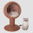 Elevated basket-style bed for felines.
