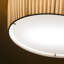 Plafonet 2 - Light Flush Mount-70978094