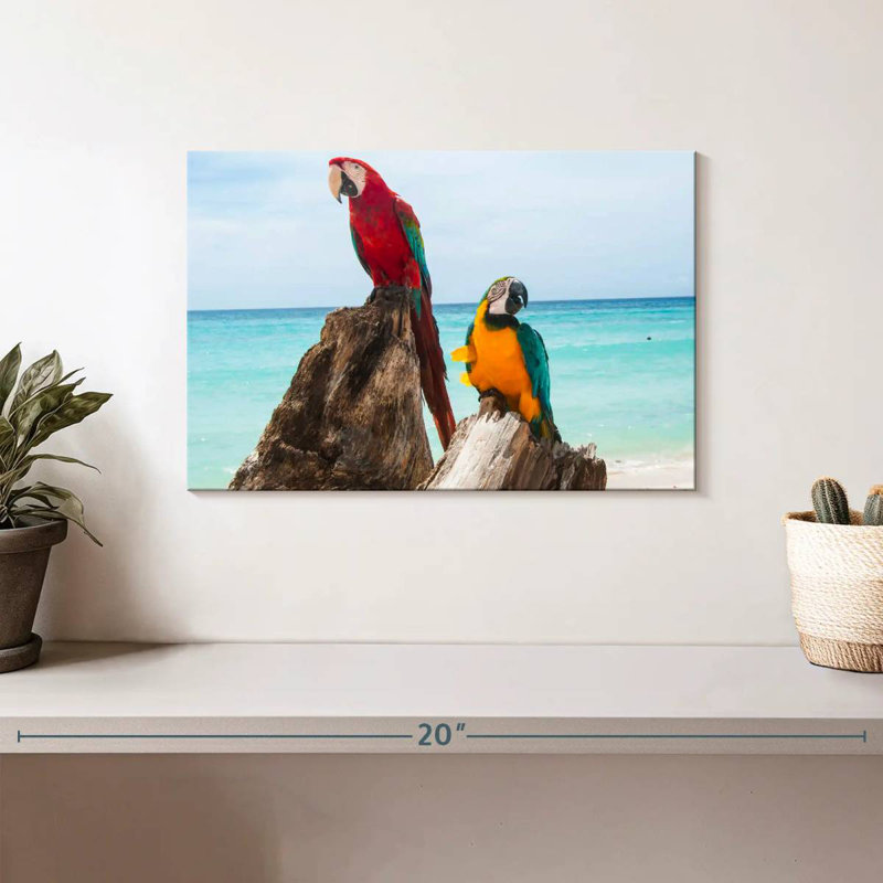Brampt Resting Macaws, 8" H x 12" W