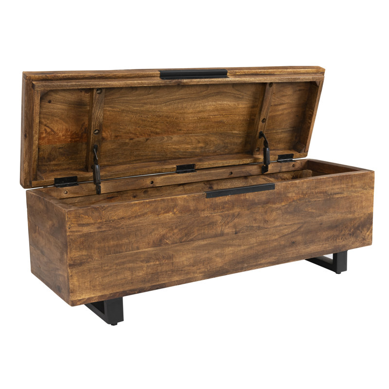 Zoe Storage Trunk