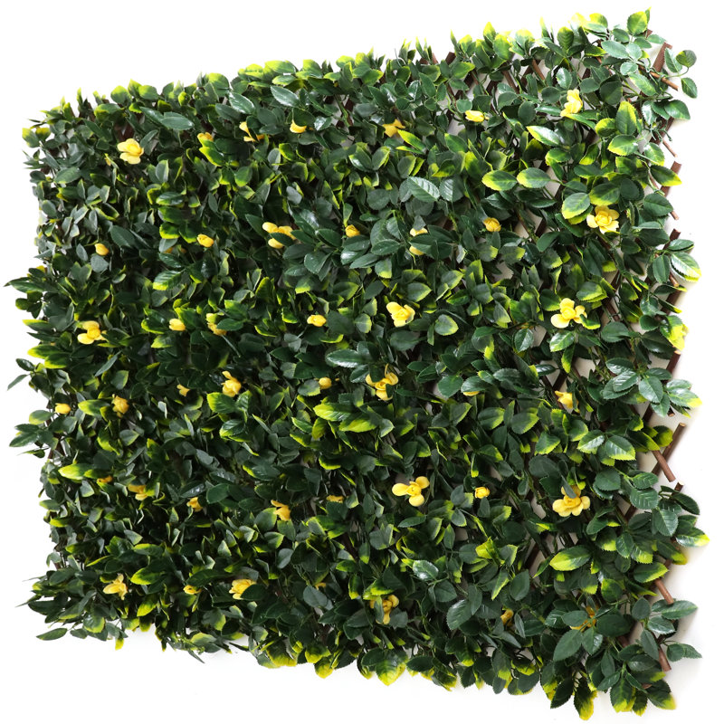 1.6 ft. H x 9 ft. W Bamboo Privacy Screen