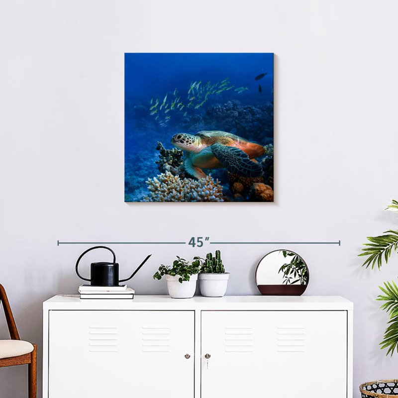 Brampt Corals And Turtle, 24'' H x 24'' W