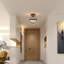 LED Flush Mount