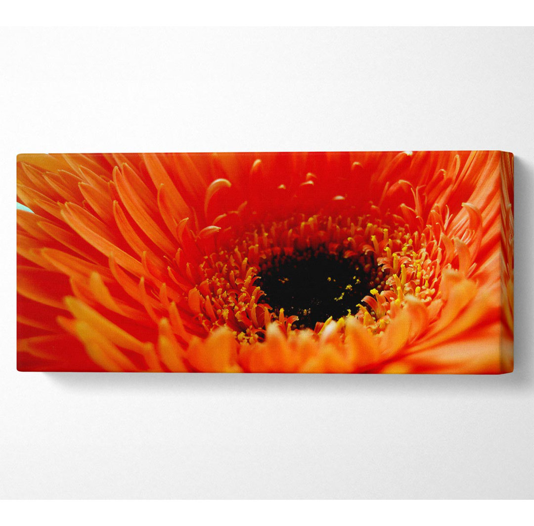 Orange Gerbera Close-up - Leinwanddrucke auf Wrapped Canvas