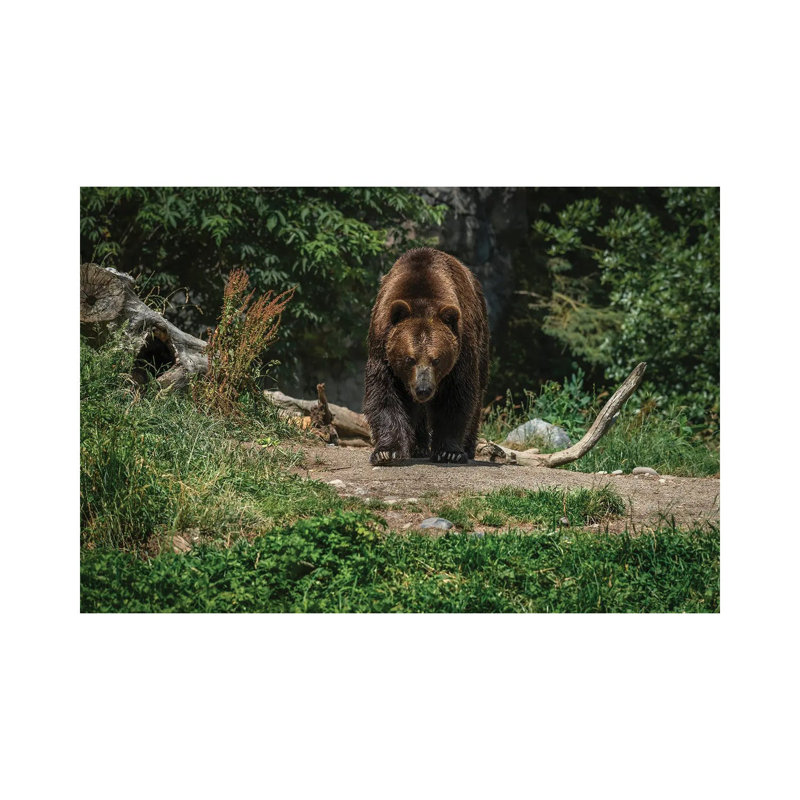 Im Coming For You by Louis Ruth - Wrapped Canvas Print, 30.48cm H x 45.72cm Wx 1.905cm D