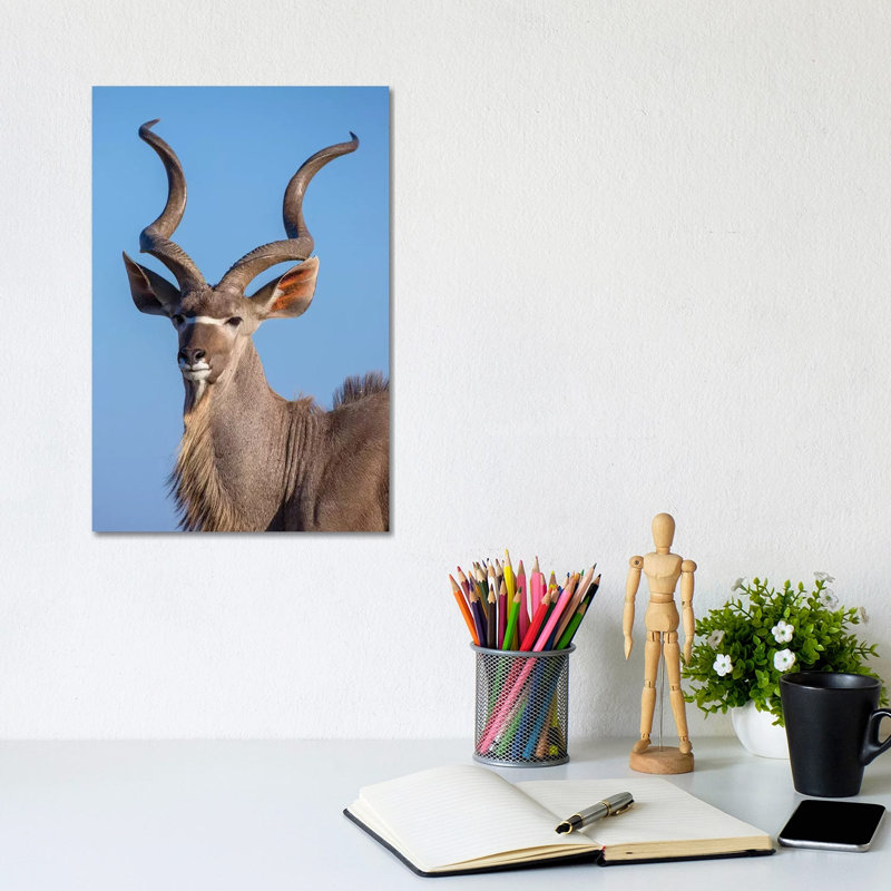 Kudu Portrait Etosha 1 Piece Wrapped Canvas Wall Art, 20.32 cm H x 30.48 cm W
