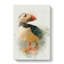 An Atlantic Puffin in Abstract - Wrapped Canvas-55306582