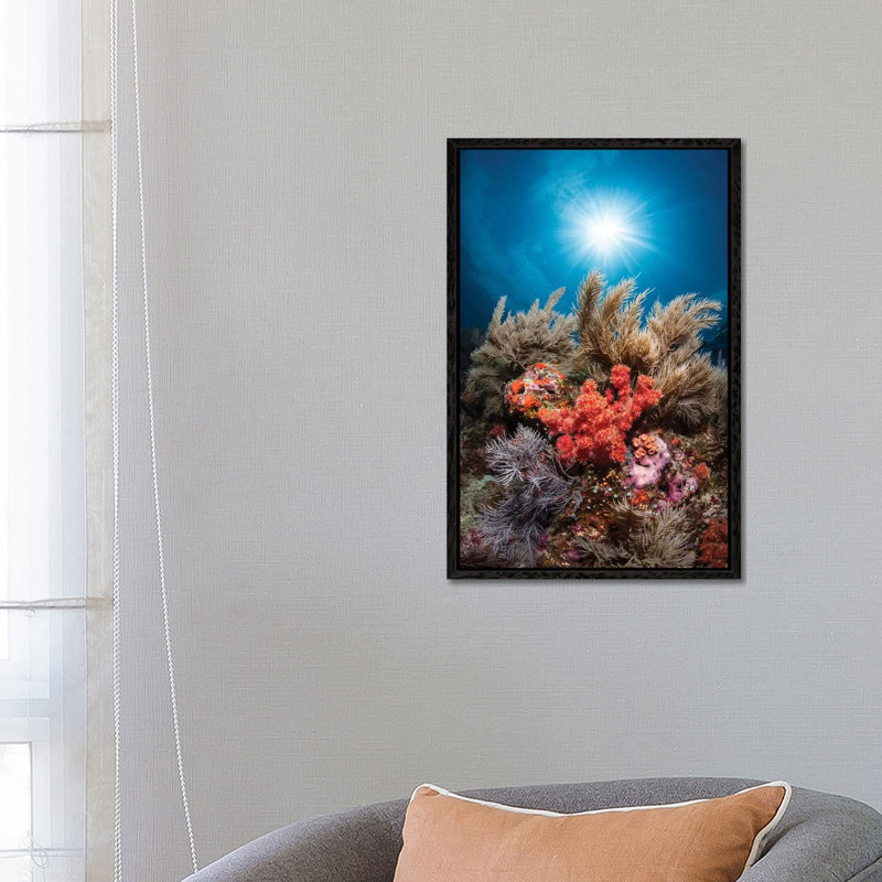 Underwater Life by Barathieu Gabriel - Print on Canvas, 66.04cm H x 45.72cm W x 3.81cm D, Black Framed