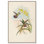 Flash of Magenta, reproduction d'art sur toile par Art Remedy