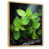 Brown Floater Framed selected