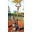 Brascom Decorative Object