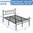 Annalaura 42" H Metal Platform Bed with Headboard-1046015552