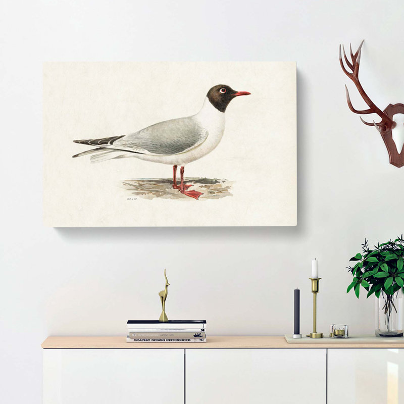 Male Black-Headed Gull by Von Wright - Wrapped Canvas, 40cm H x 60cm W x 3cm D