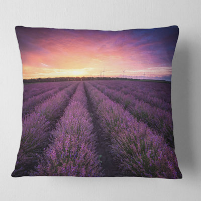 Throw Pillow