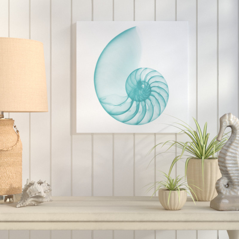 Turquoise Sea Shell - Wrapped Canvas Print, 91 cm H x 91 cm W