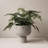 Cade Ceramic Table Vase-1510246626-1491770353
