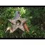 Mangeoire pour oiseaux Mattoon