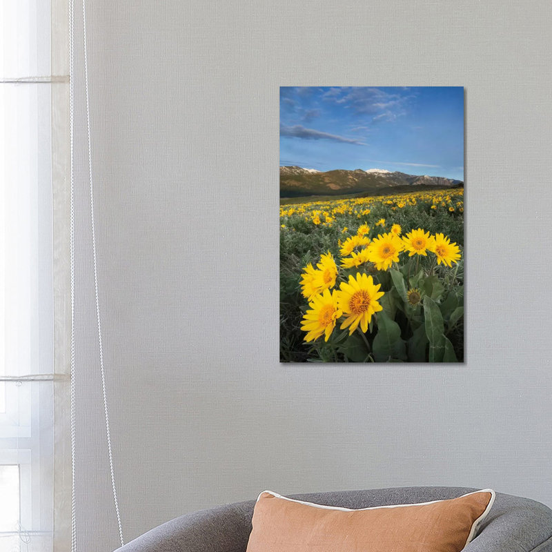 Methow Valley Wildflowers III by Alan Majchrowicz - Wrapped Canvas Print, 66.04cm H x 45.72cm W x 1.91cm D