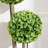 Faux Boxwood Topiary in Pot