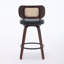 Contemporary Leisure Barstools