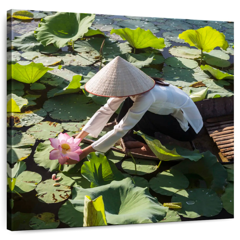 Leisha, cueillette de lotus au Vietnam, H 39 po x l 39 po