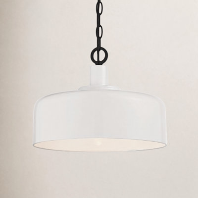 Luminaire suspendu en dome à 1 lumière