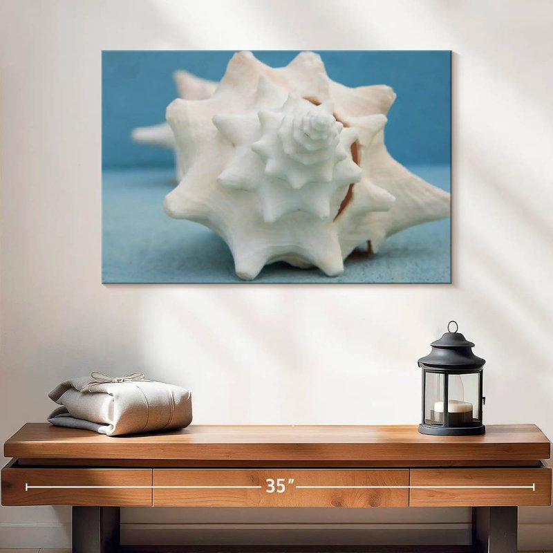 Aletra White Conch Seashell, 16" H x 24" W
