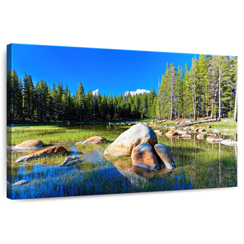 Summer In Yosemite
