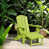 Apple Green is out of stock
