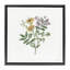 Cadre flottant Blooming Botanical Mix, design par Cindy Jacobs-65930808-65930809