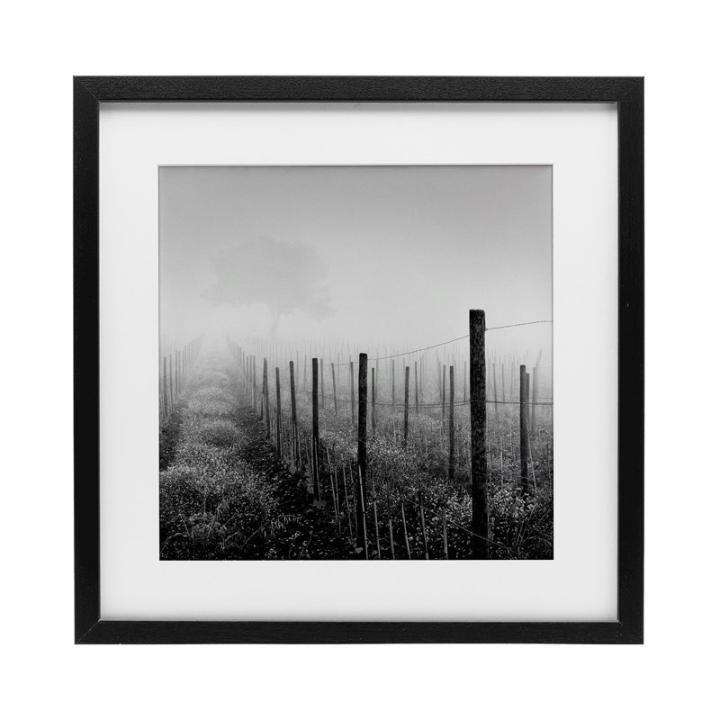 «Vineyard At Dawn», reproduction encadrée sous verre, conception de Chip Forelli, H 13 po x l 13 po, Cadre noir minuit