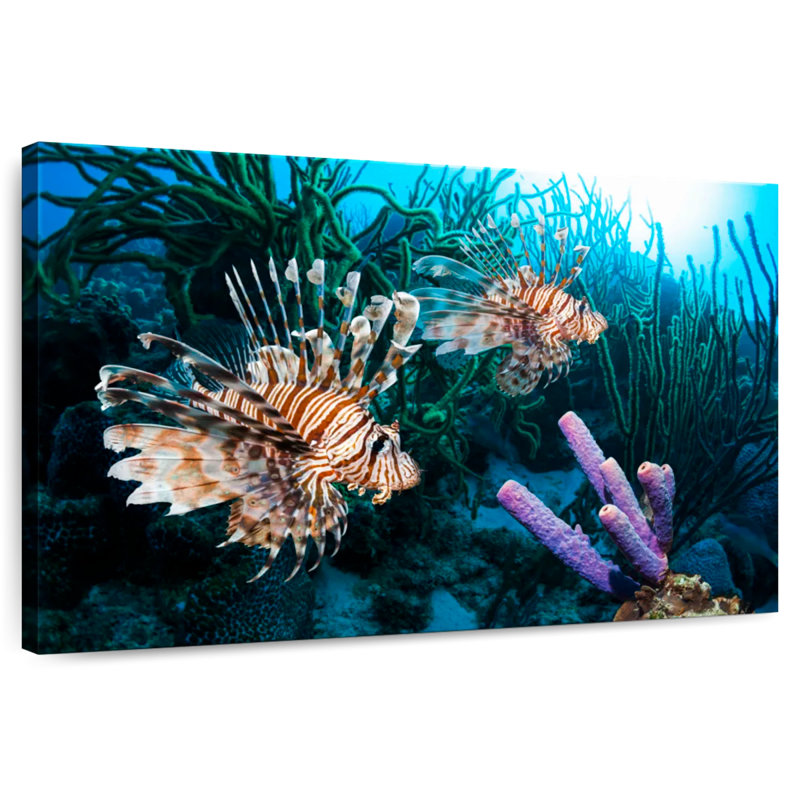 Brampt Atlantic Ocean Lionfish, 32" H x 48" W