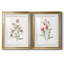 Lin botanique corail III - ensemble de 2 reproductions d'art-1828045338-1828045339-1828045340