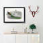 Admiring a Peacock - Picture Frame Painting Print-55683054-55683055