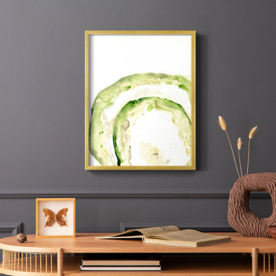 Lichen Halo IV Framed Print - Solid Wood