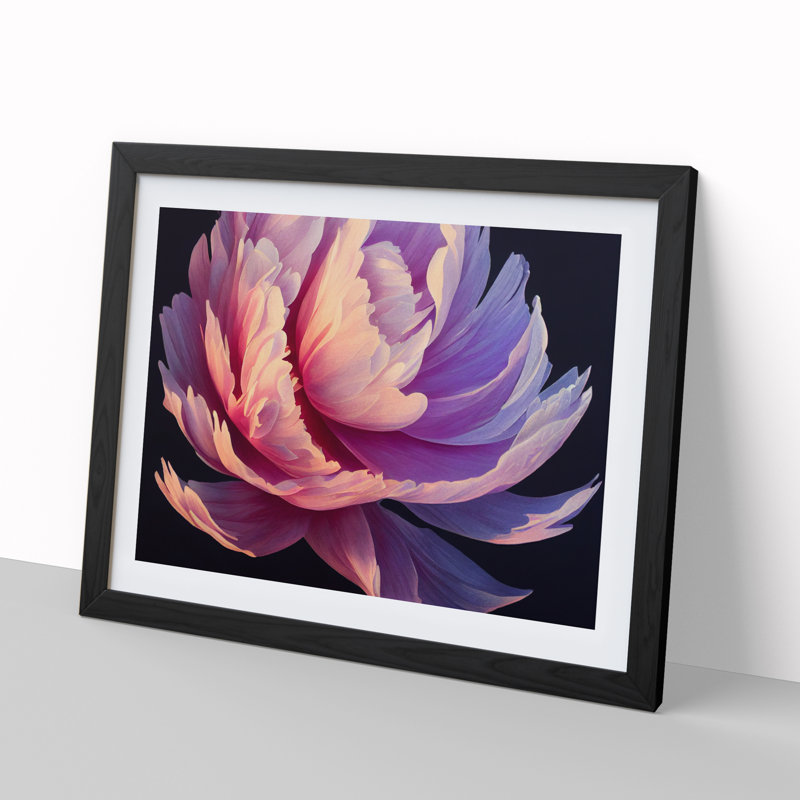 Incredible Peony Flower - Single Picture Frame Print, Black, 46cm H x 64cm W x 2cm D
