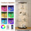 Display Cabinet-640038381