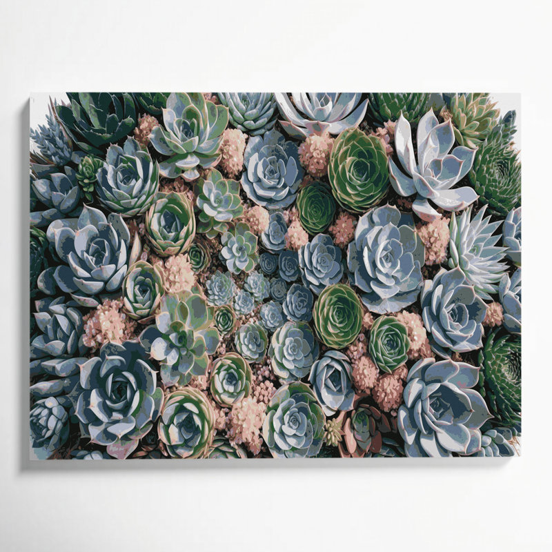 "Botanical Succulents", art mural sur toile grise, H 20 po x l 24 po