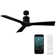 54" Aviator 3 - Blade Outdoor/Indoor Smart Propeller Ceiling Fan with Wall Control, Works With Alexa and iOS or Android App