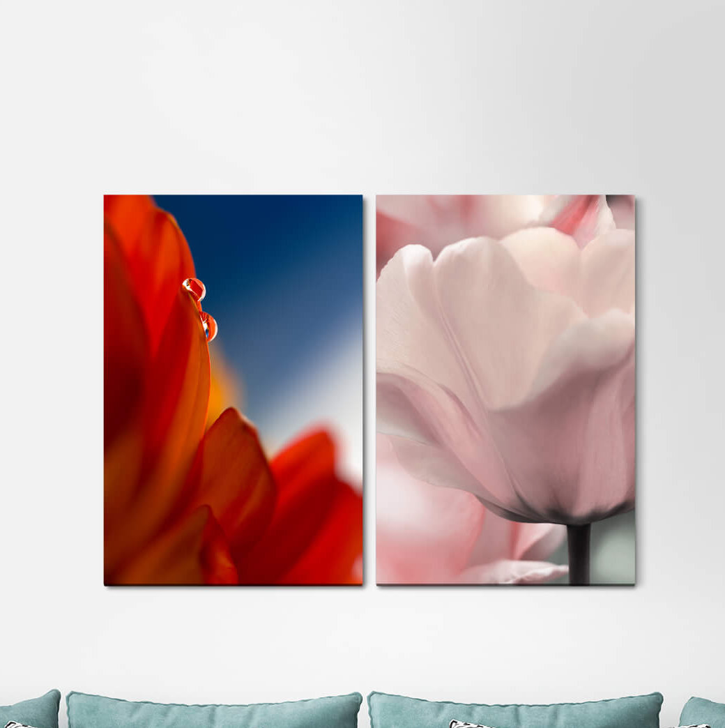 2-tlg. Leinwandbilder-Set - Grafikdruck „Red Flower White Tulips Water Drops Summer Softness”