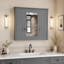 W H Medicine Cabinet Mirror-572574024