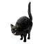 Hissing Cat Statue