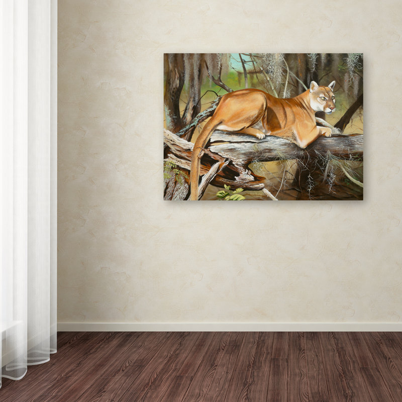 « floride panther », reproduction d’impression sur toile tendue, H 14 po x l 19 po