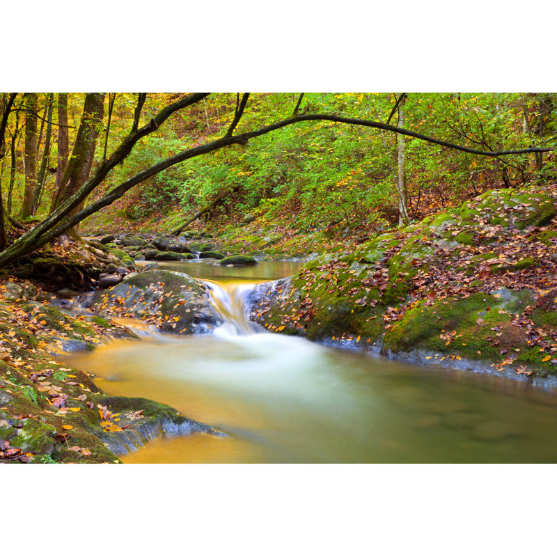 Autumn Stream - Wrapped Canvas Print, 61cm H x 91cm W